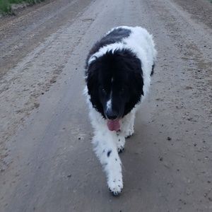 Meet your Posher, Bill